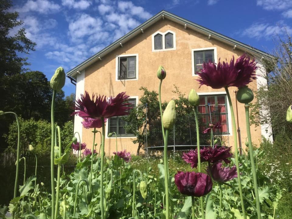 Bagga Skola Bnb & Cafe Skinnskatteberg Exteriér fotografie